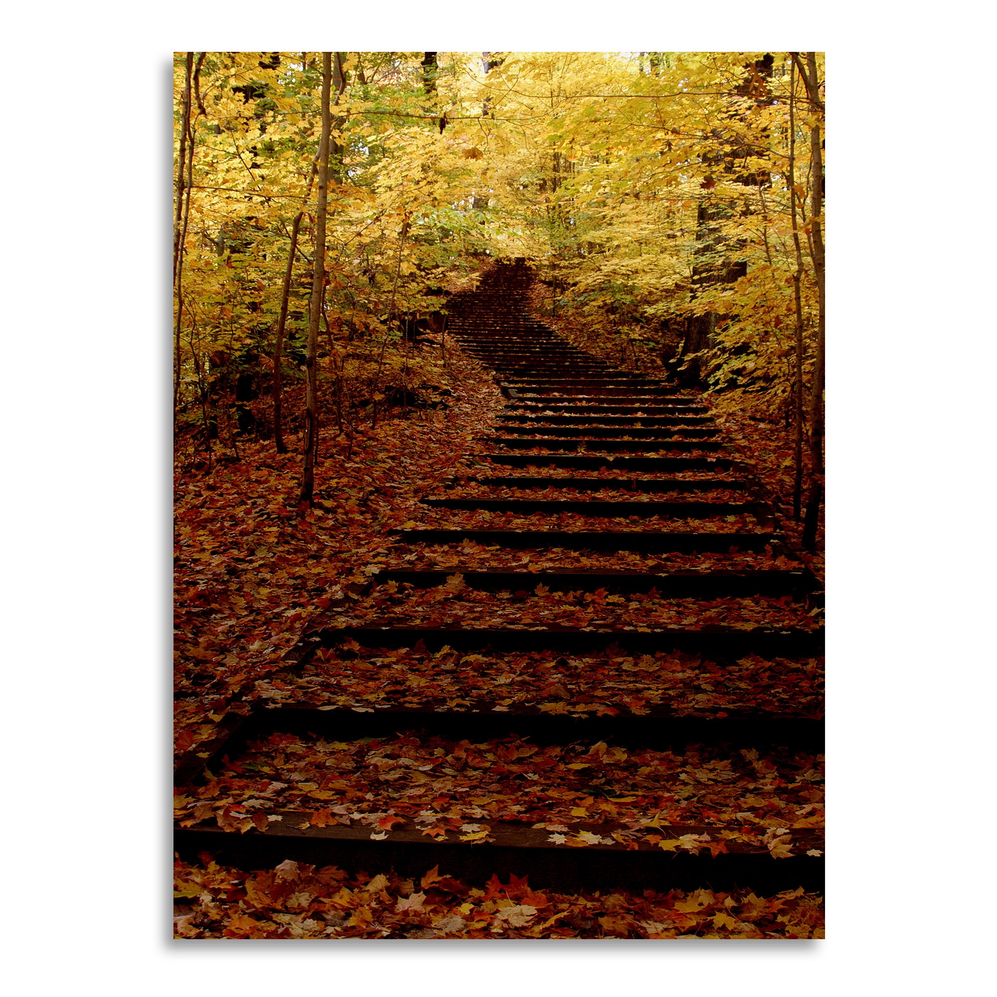 Trademark Fine Art 'Fall Stairway' Brushed Aluminum Wall Art Art by Kurt Shaffer