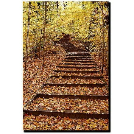 Trademark Fine Art "Fall Stairway" Canvas Art by Kurt Shaffer