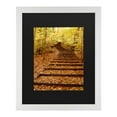 thumbnail image 1 of Trademark Fine Art 'Fall Stairway' Canvas Art by Kurt Shaffer, 1 of 4