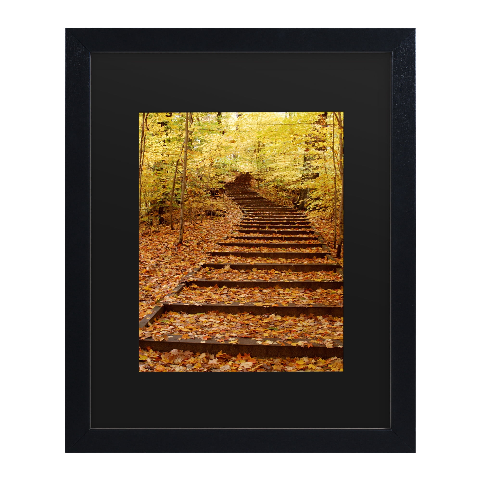 Trademark Fine Art 'Fall Stairway' Canvas Art by Kurt Shaffer