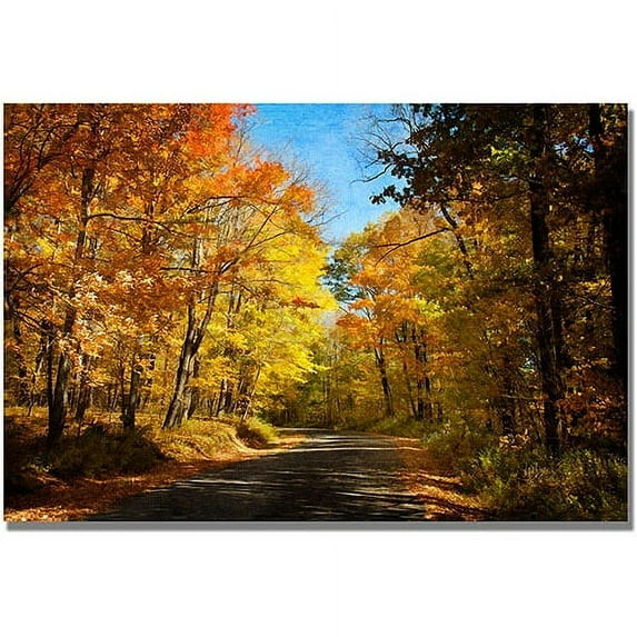 Trademark Fine Art "Fall Walkway" Canvas Wall Art by Lois Bryan
