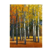 Trademark Fine Art 'Fall in Glory I' Canvas Art by Tim OToole