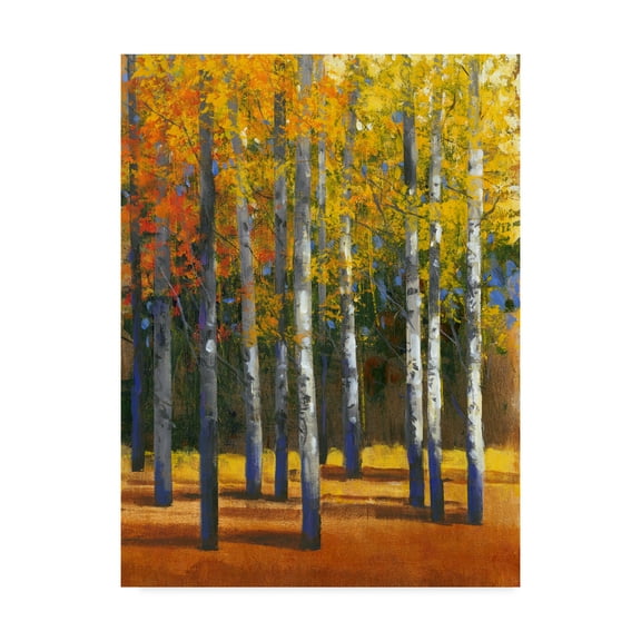 Trademark Fine Art 'Fall in Glory I' Canvas Art by Tim OToole