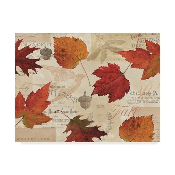 Trademark Fine Art 'Fall in Love - Autumn Leaves' Canvas Art by Lisa Audit