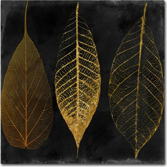 Trademark Fine Art "Fallen Gold I" Canvas Art by Color Bakery
