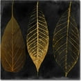 thumbnail image 1 of Trademark Fine Art "Fallen Gold I" Canvas Art by Color Bakery, 1 of 2