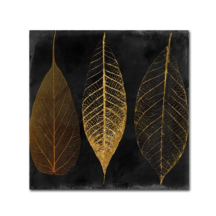 Trademark Fine Art "Fallen Gold I" Canvas Art by Color Bakery