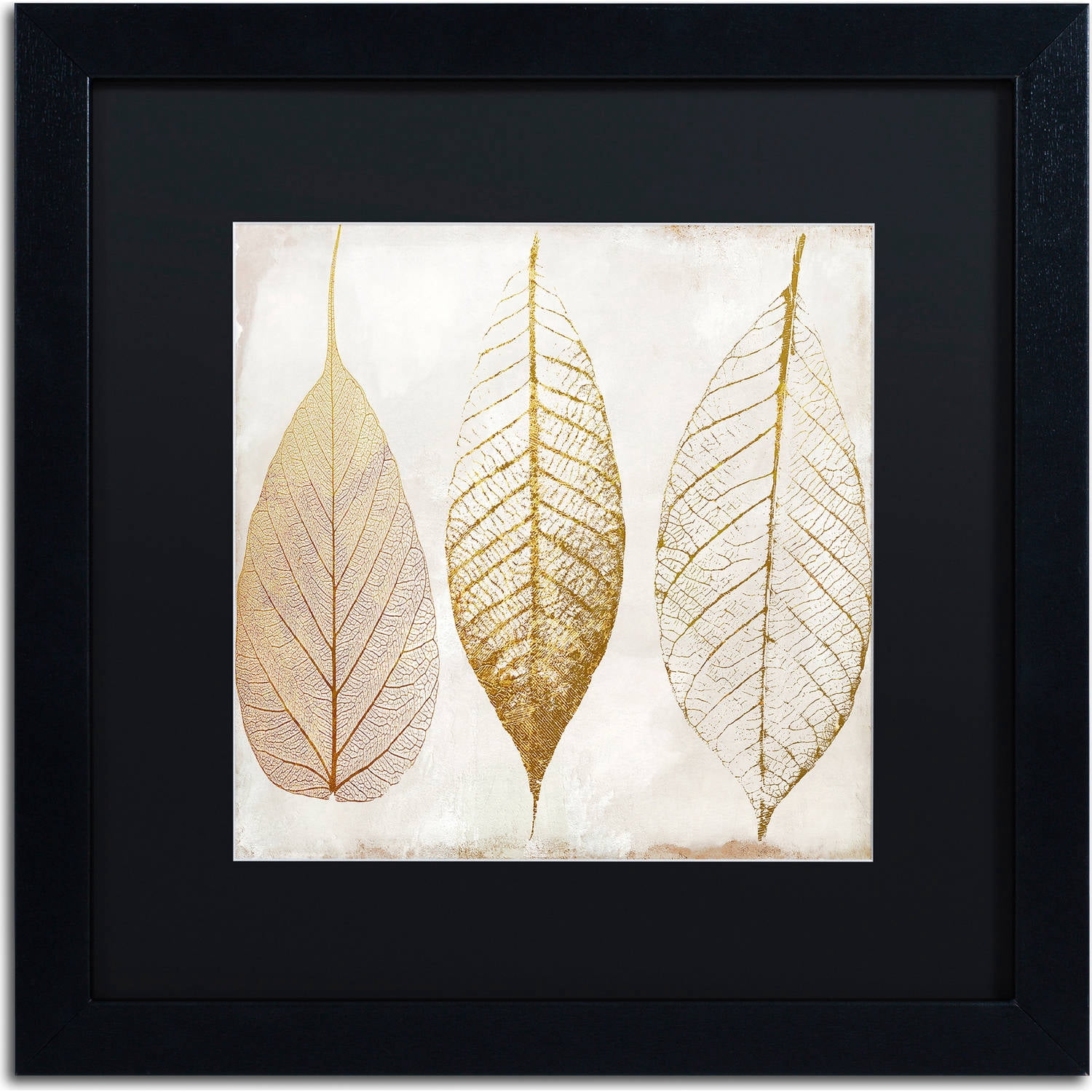 Trademark Fine Art "Fallen Gold II" Canvas Art by Color Bakery, Black Matte, Black Frame