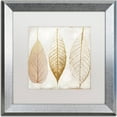 thumbnail image 1 of Trademark Fine Art "Fallen Gold II" Canvas Art by Color Bakery, White Matte, Silver Frame, 1 of 1