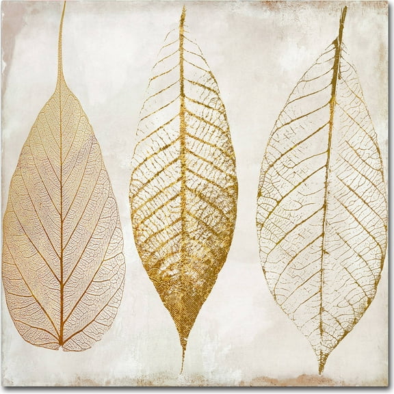 Trademark Fine Art "Fallen Gold II" Canvas Art by Color Bakery
