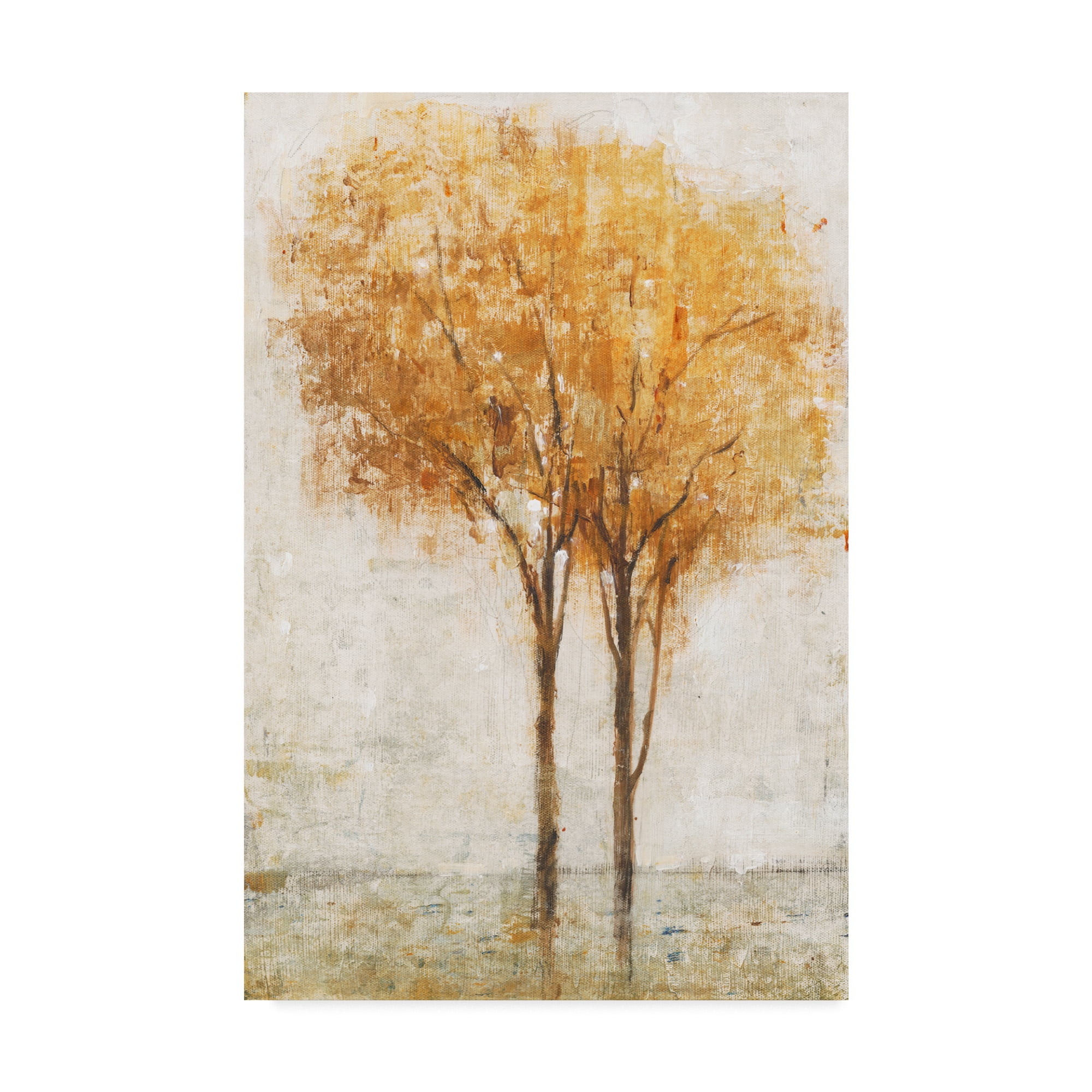Trademark Fine Art 'Falling Leaves II' Canvas Art by Tim OToole