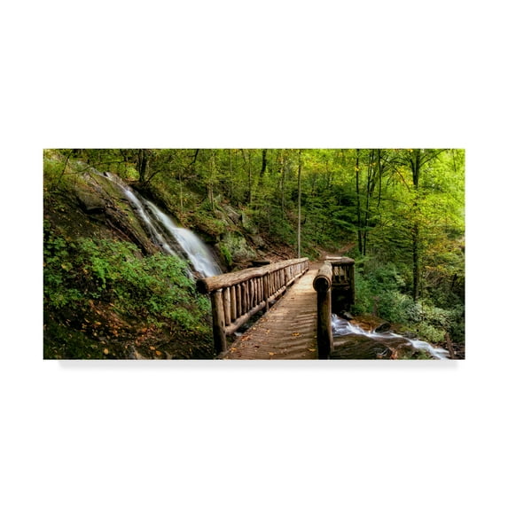 Trademark Fine Art 'Falls Panorama' Canvas Art by Danny Head