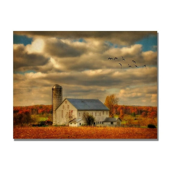 Trademark Fine Art "Family Farm II" Canvas Wall Art by Lois Bryan