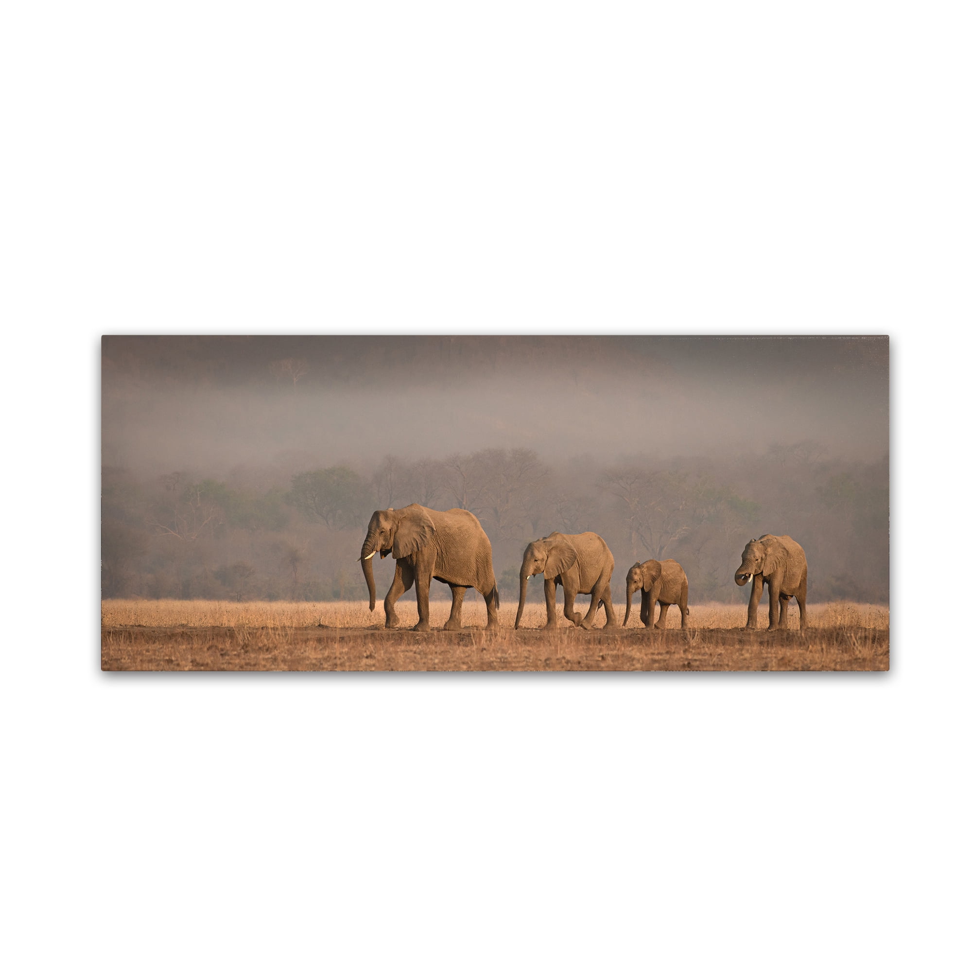 Trademark Fine Art 'Family Outing' Canvas Art by Peter O'Hara