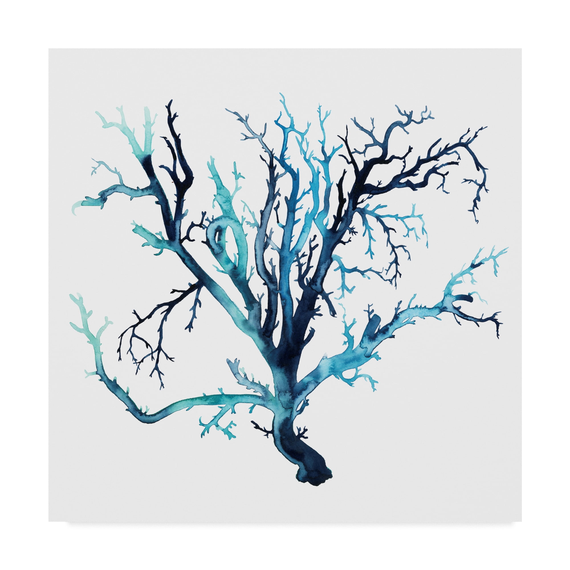Trademark Fine Art 'Fan de la Mer III' Canvas Art by Grace Popp