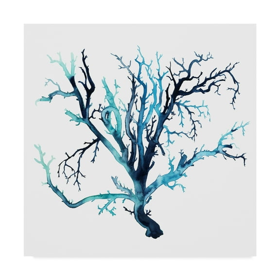 Trademark Fine Art 'Fan de la Mer III' Canvas Art by Grace Popp