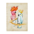 thumbnail image 1 of Trademark Fine Art 'Fanciful Birds IV' Canvas Art by Chariklia Zarris, 1 of 4