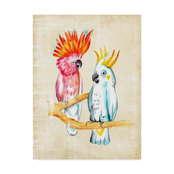 Trademark Fine Art 'Fanciful Birds IV' Canvas Art by Chariklia Zarris