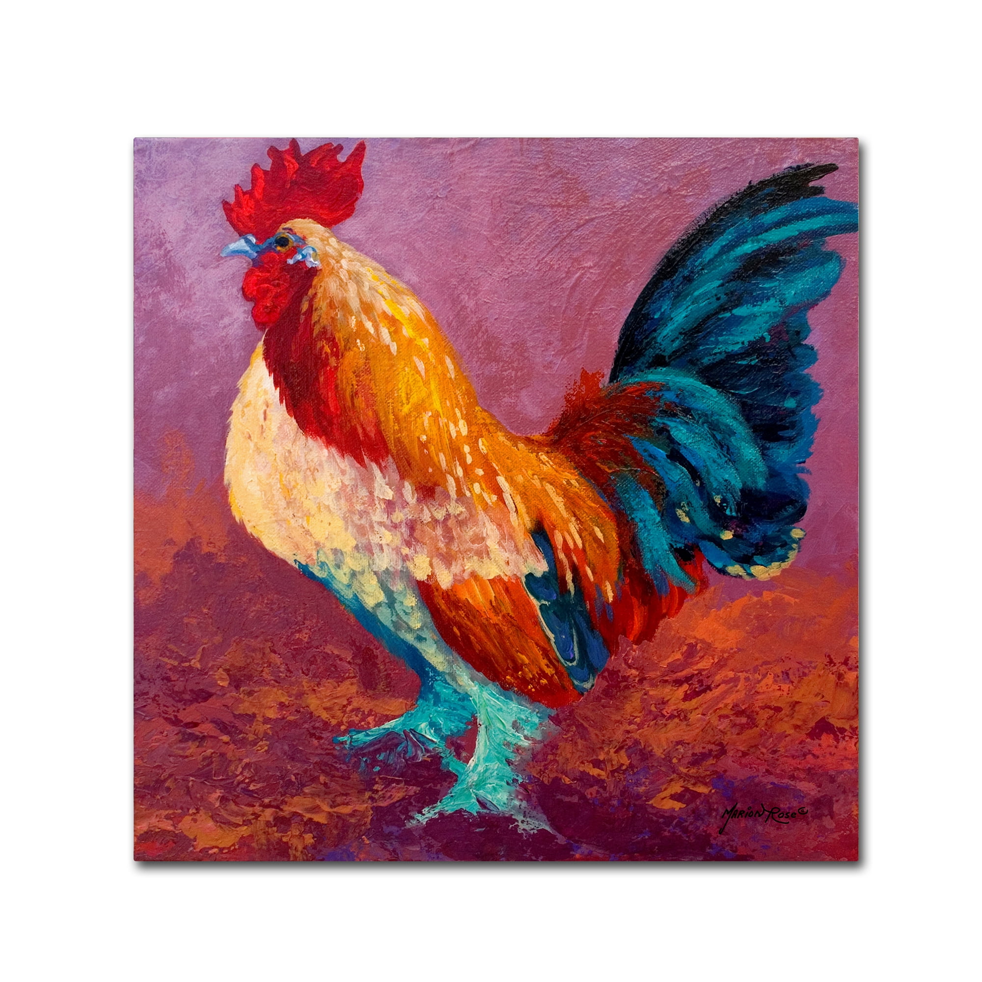 Trademark Fine Art 'Fancy Pants' Canvas Art by Marion Rose