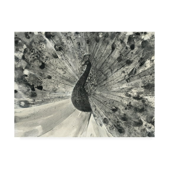 Trademark Fine Art 'Fanfare' Canvas Art by Albena Hristova