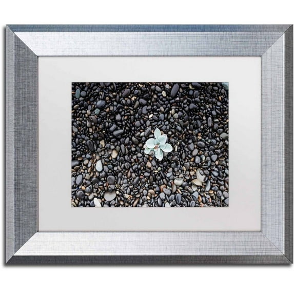 Trademark Fine Art 'Far From Blue' Canvas Art by Philippe Sainte-Laudy, White Matte, Silver Frame