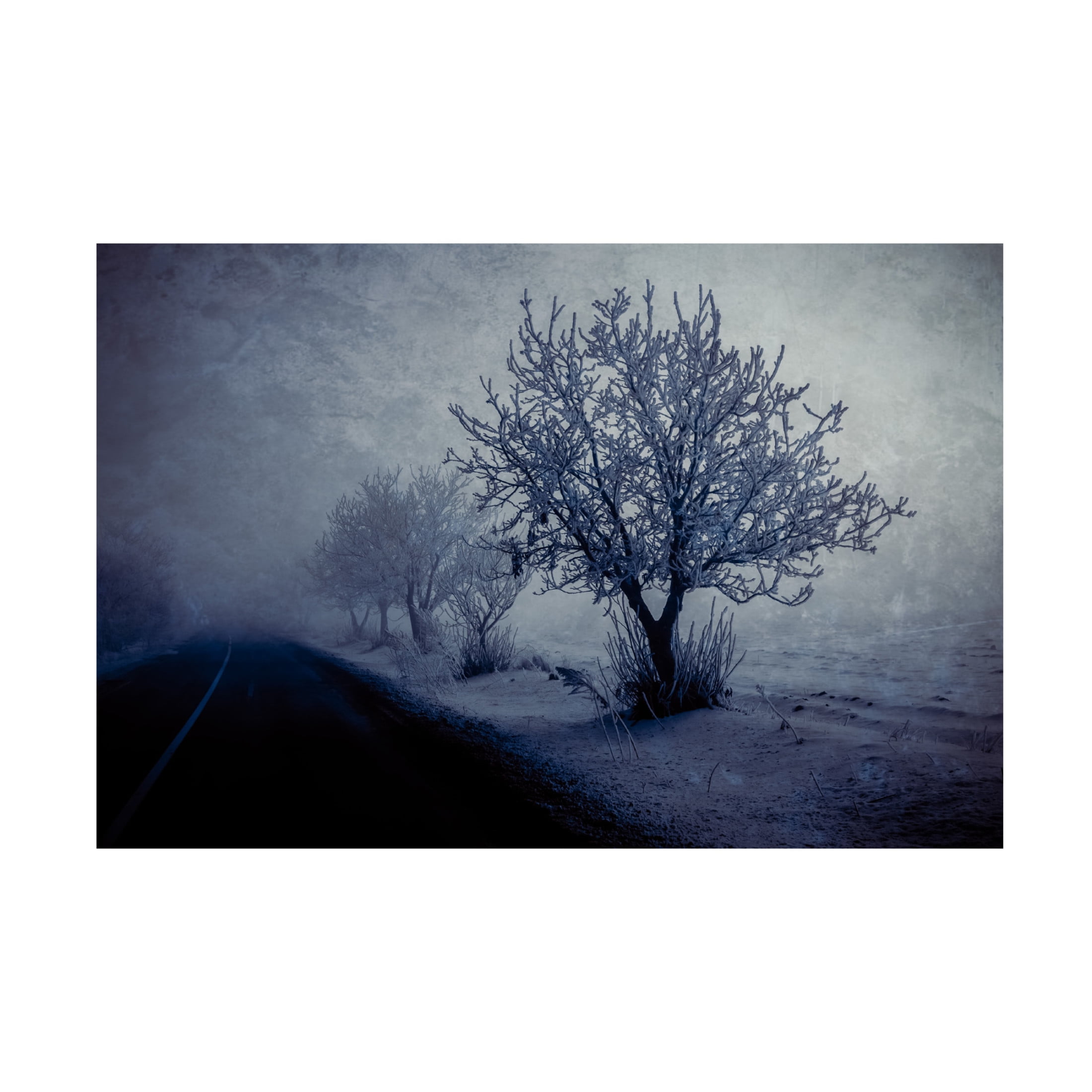Trademark Fine Art Farid Kazamil At night foggy Canvas Wall Art