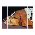 thumbnail image 1 of Trademark Fine Art 'Farley' Canvas Art by Pat Saunders-White, 1 of 3