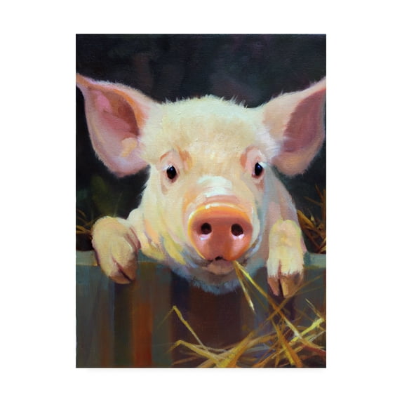 Trademark Fine Art 'Farm Club I' Canvas Art by Carolyne Hawley