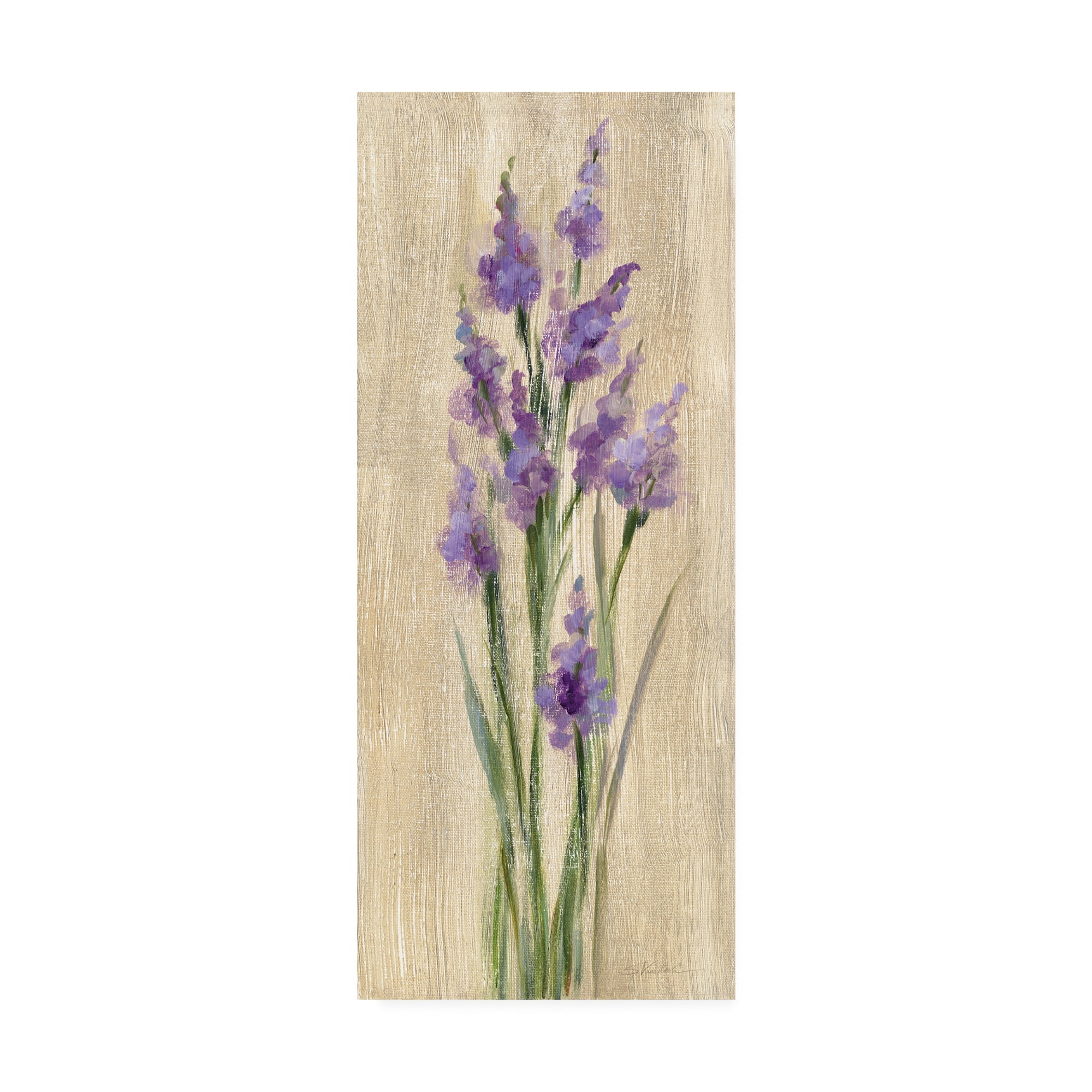 Trademark Fine Art 'Farm Flower II' Canvas Art by Silvia Vassileva