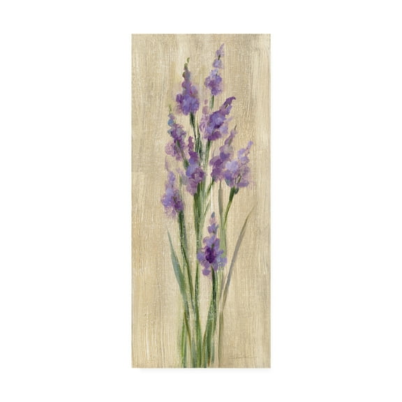 Trademark Fine Art 'Farm Flower II' Canvas Art by Silvia Vassileva