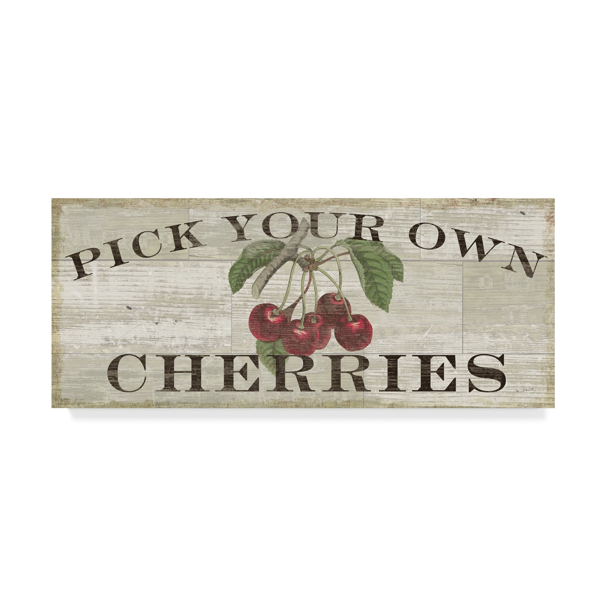 Trademark Fine Art 'Farm Fresh Cherries' Canvas Art by Sue Schlabach