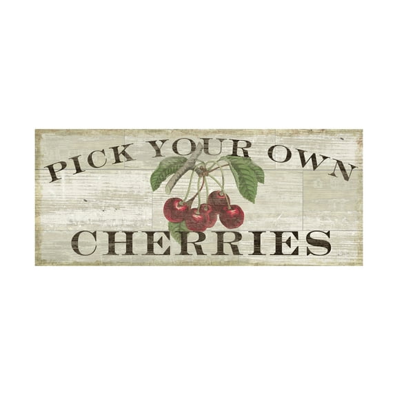 Trademark Fine Art 'Farm Fresh Cherries' Canvas Art by Sue Schlabach