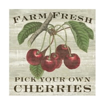 Trademark Fine Art 'Farm Fresh Cherries Square' Canvas Art by Sue Schlabach