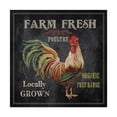 thumbnail image 1 of Trademark Fine Art 'Farm Fresh Rooster' Canvas Art by Jean Plout, 1 of 3