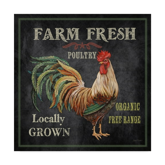 Trademark Fine Art 'Farm Fresh Rooster' Canvas Art by Jean Plout