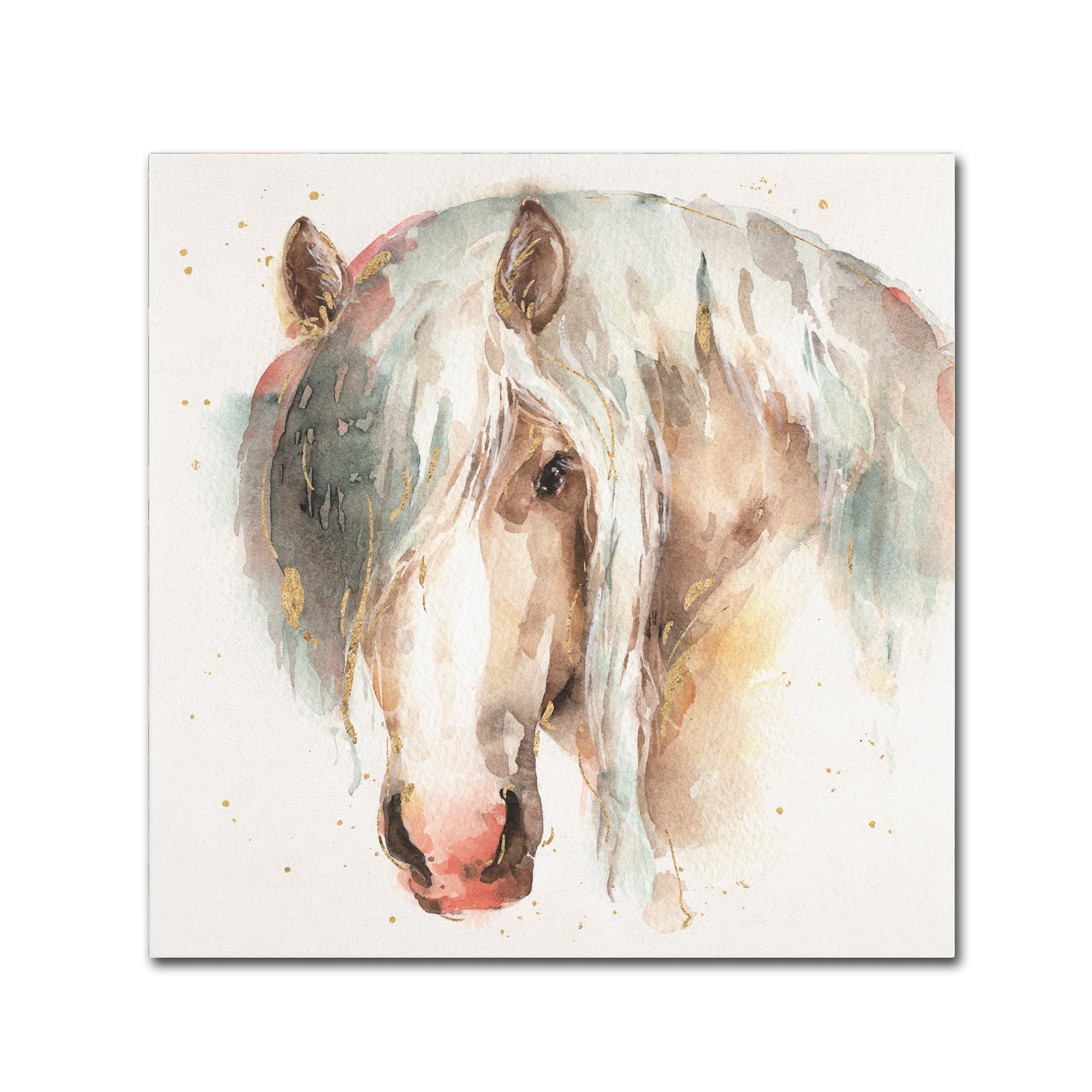 Lisa Audit Watercolor Horse Portrait Canvas Art, 14 x 14