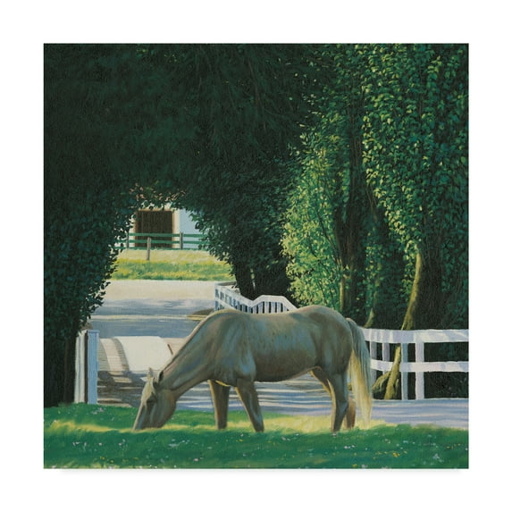 Trademark Fine Art 'Farm Life Horse' Canvas Art by James Wiens