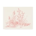 thumbnail image 1 of Trademark Fine Art 'Farm Nostalgia Flowers VII' Canvas Art by Danhui Nai, 1 of 3