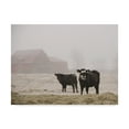 thumbnail image 1 of Trademark Fine Art 'Farm Study III' Canvas Art by Adam Mead, 1 of 4