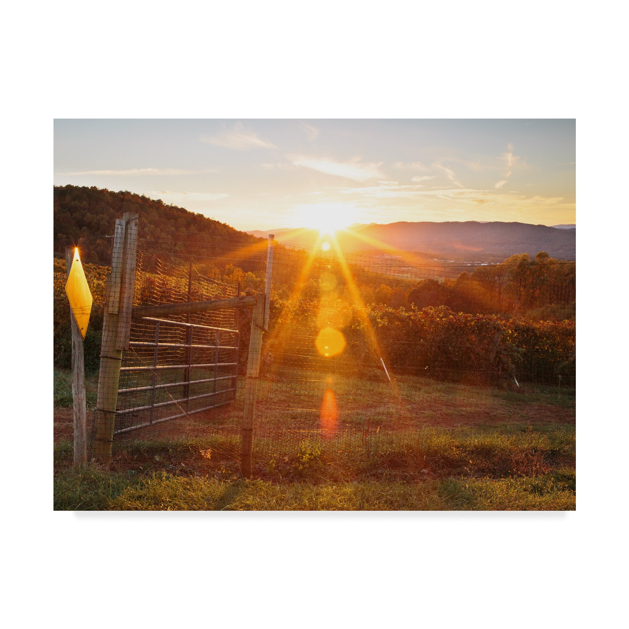 Trademark Fine Art 'Farm Study VII' Canvas Art by Adam Mead