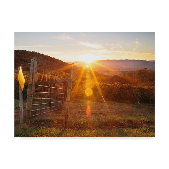 Trademark Fine Art 'Farm Study VII' Canvas Art by Adam Mead