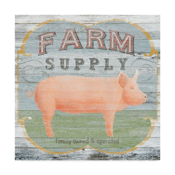 Trademark Fine Art 'Farm Supply II' Canvas Art by June Erica Vess