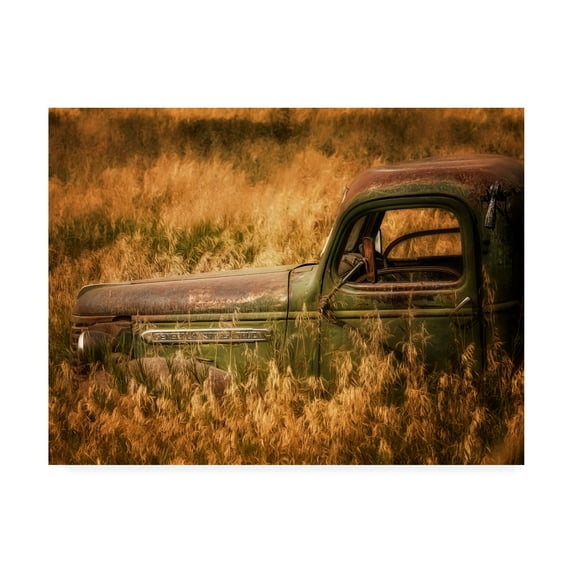 Trademark Fine Art 'Farm and Field V' Canvas Art by PHBurchett