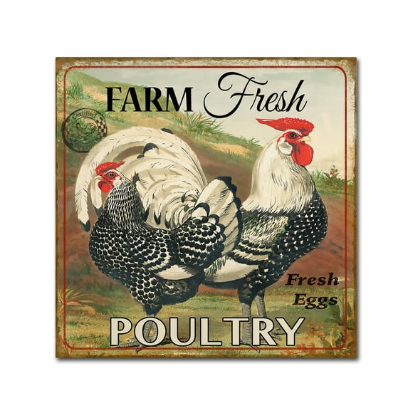 Trademark Fine Art 'Farmer Fresh Poultry 1' Canvas Art by Jean Plout
