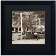 thumbnail image 1 of Trademark Fine Art "Faro I" Canvas Art by Alan Blaustein, Black Matte, Black Frame, 1 of 4