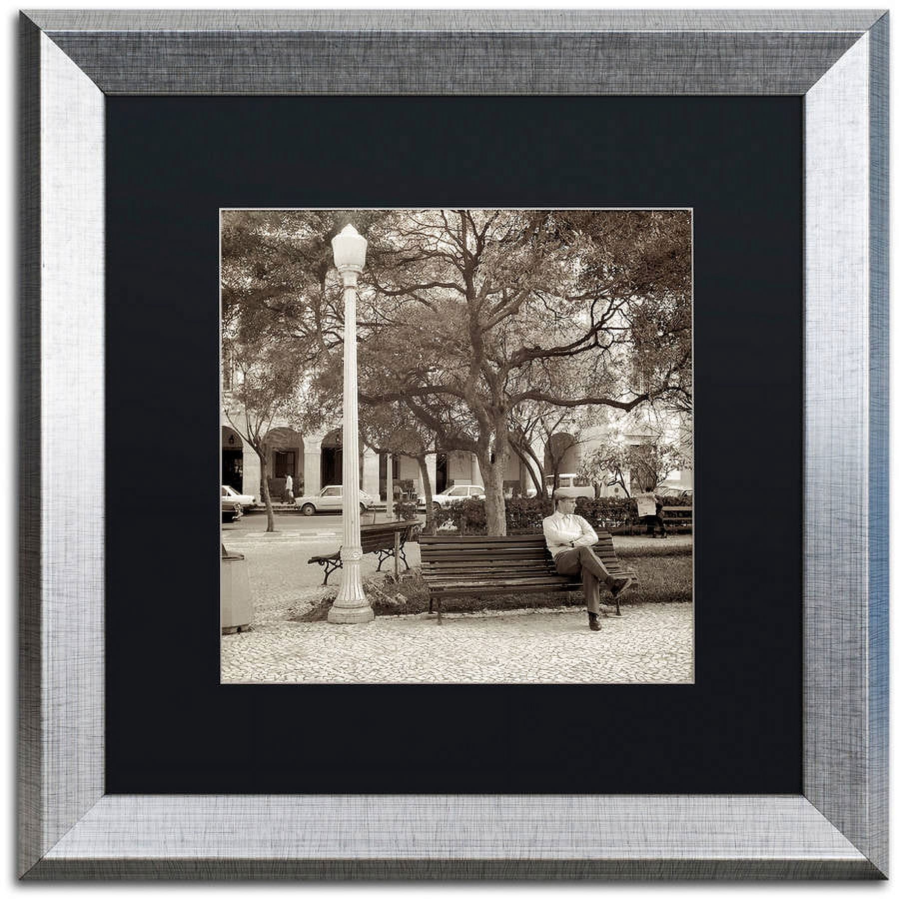 Trademark Fine Art "Faro I" Canvas Art by Alan Blaustein, Black Matte, Silver Frame