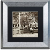 Trademark Fine Art "Faro I" Canvas Art by Alan Blaustein, Black Matte, Silver Frame