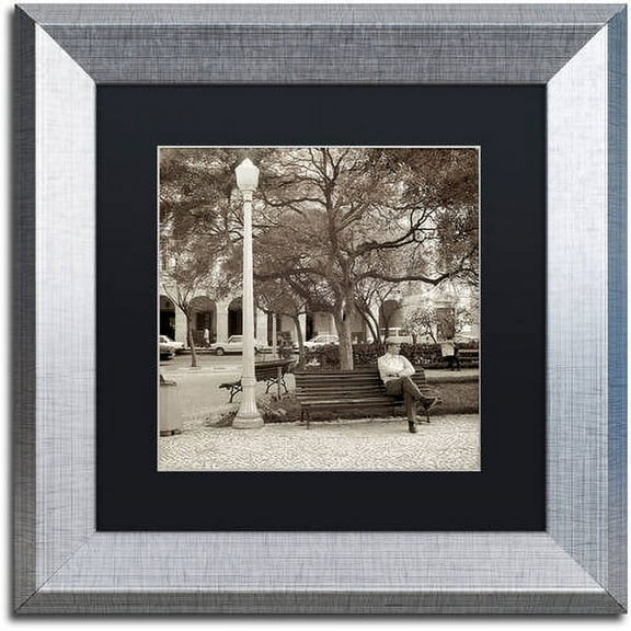 Trademark Fine Art "Faro I" Canvas Art by Alan Blaustein, Black Matte, Silver Frame