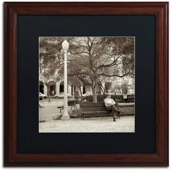 Trademark Fine Art "Faro I" Canvas Art by Alan Blaustein, Black Matte, Wood Frame