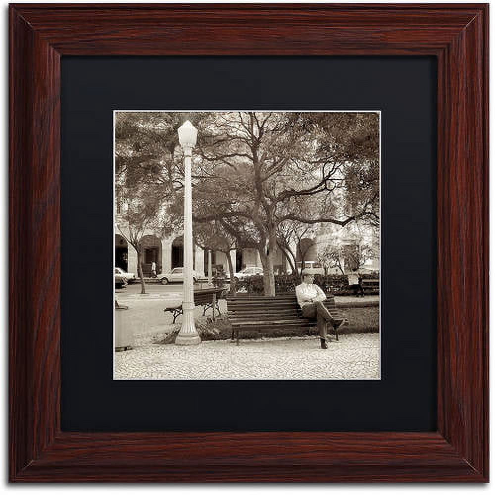 Trademark Fine Art "Faro I" Canvas Art by Alan Blaustein, Black Matte, Wood Frame
